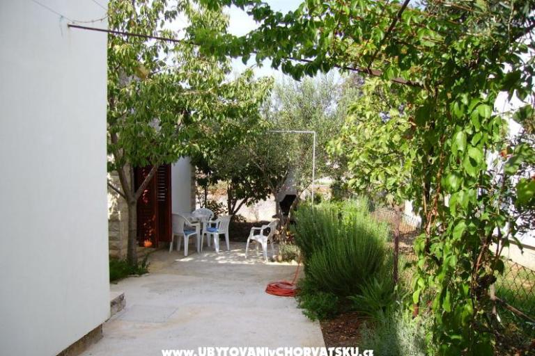 Apartma Marija – foto 8