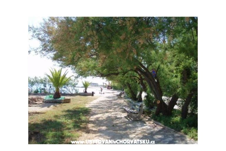 Hiša na plaži Lola Beach Hiša Lola – foto 12