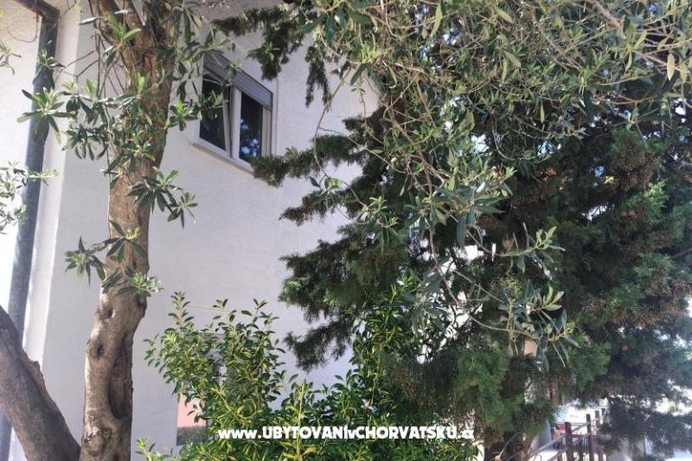 Apartma Parlov – foto 12