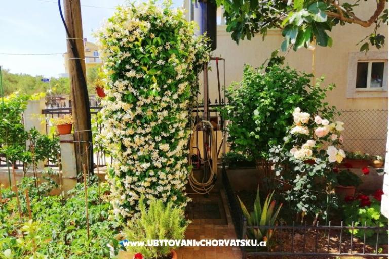 Apartmaji Brković – foto 8