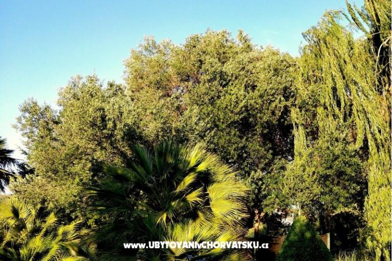 Apartmaji DARIO - Sukošan – foto 37