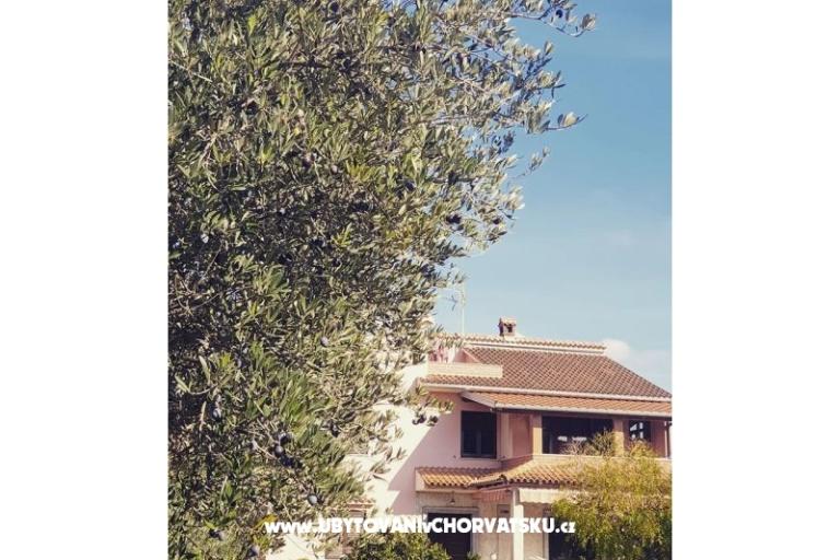 Apartmaji DARIO - Sukošan – foto 54