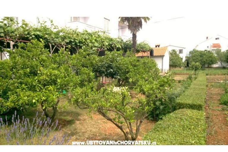 Apartmaji Šarić – foto 11
