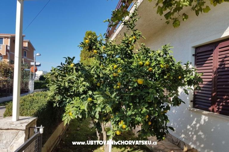 Apartmaji Žeger – foto 13