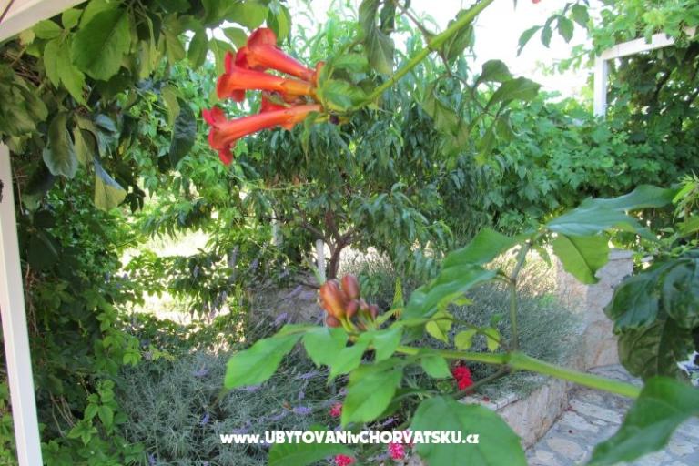 Apartmaji Žeger – foto 6