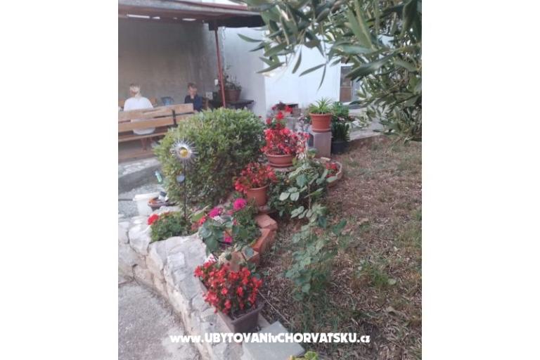 Apartmaji Daša – foto 16