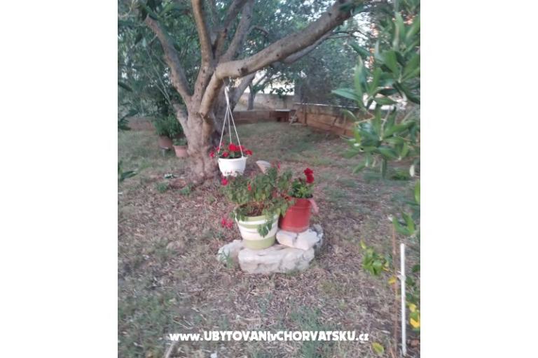 Apartmaji Daša – foto 17