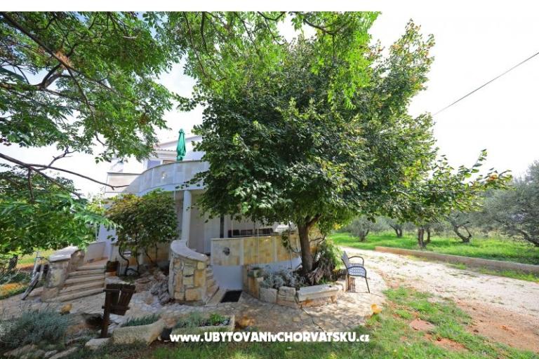 Apartmaji Ela – foto 13