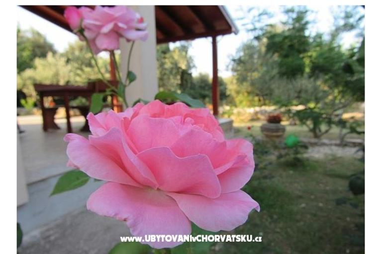 Počitniški dom Dević – foto 2