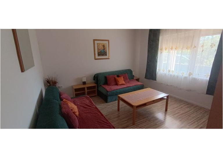 Apartmaji NIKA – foto 24
