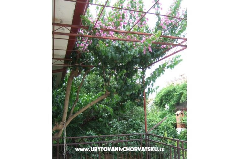 Apartma Lenka – foto 4