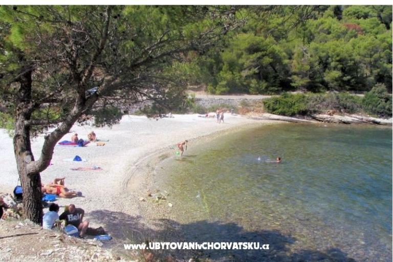 Apartmaji Beba – foto 17
