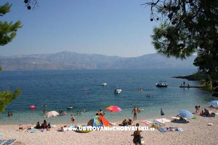 Apartmaji Mala Lozna  – foto 8