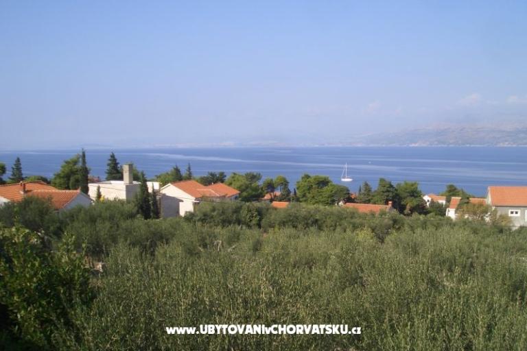 Apartmaji Marino – foto 5