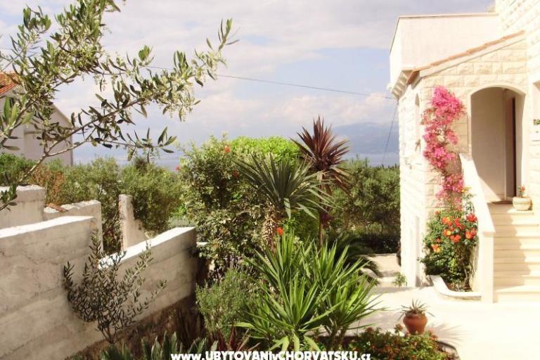 Apartmaji Petranic – foto 16