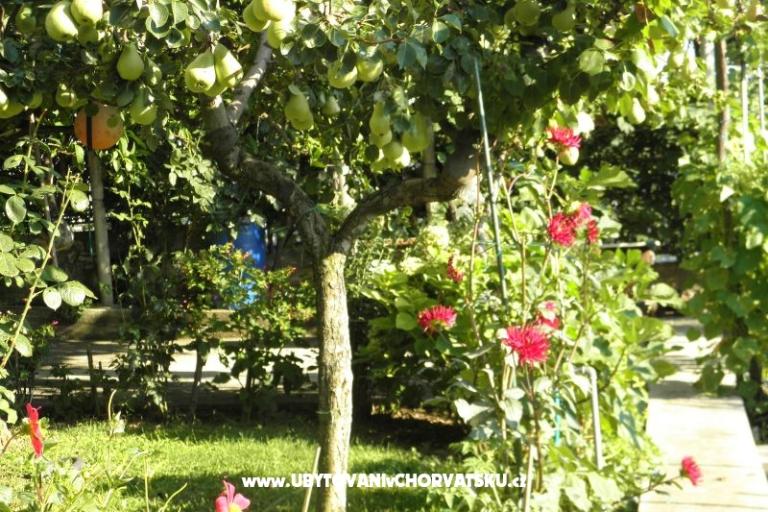 Apartmaji Lucija – foto 16