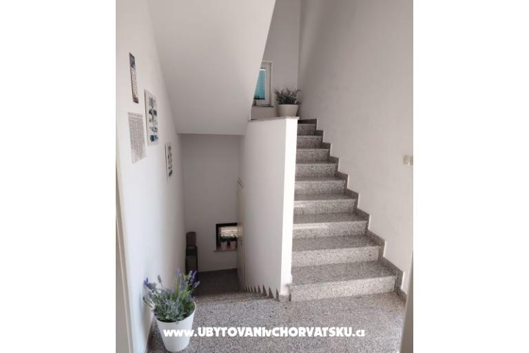 Apartmaji Ciprijan i Bojka Matić – foto 30