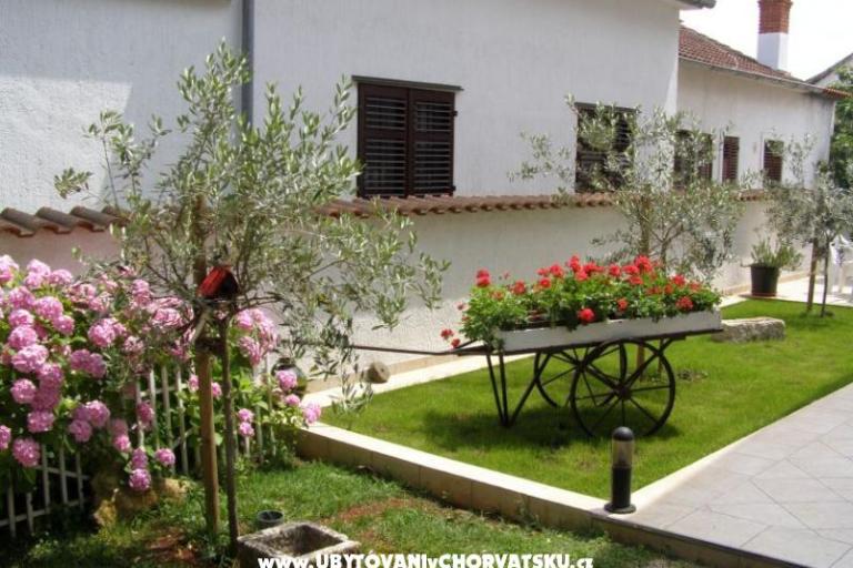 Apartmaji Roviš – foto 7