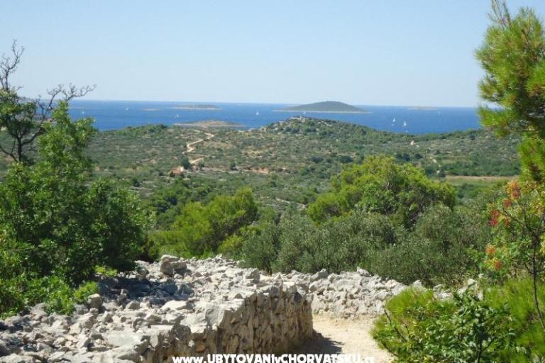 Apartma Milka – foto 17