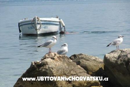 Apartma Antea – foto 12