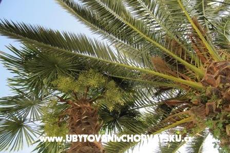 Apartma Antea – foto 17