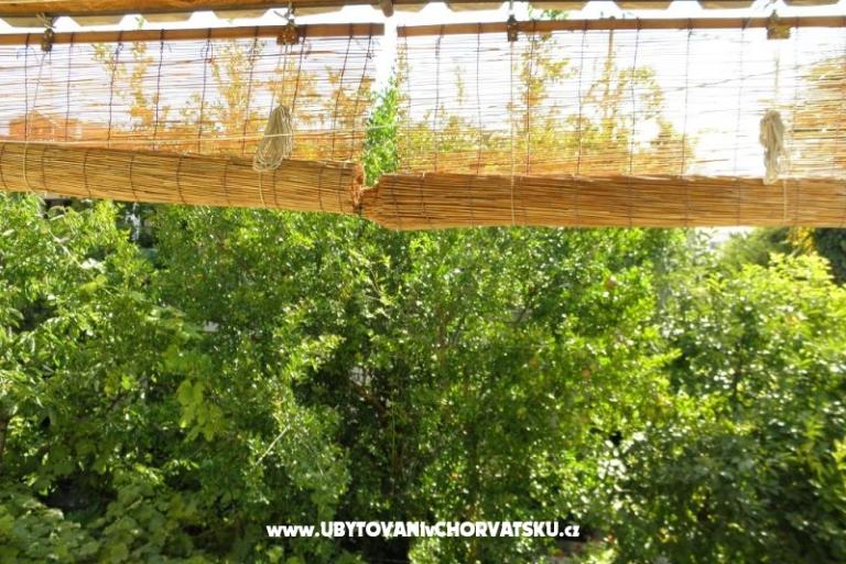 Apartma Aranka – foto 11