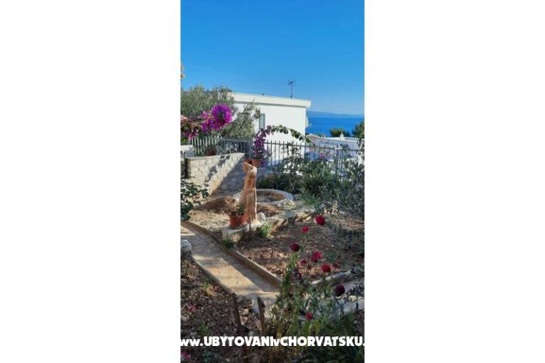 Apartma Galeb – foto 16