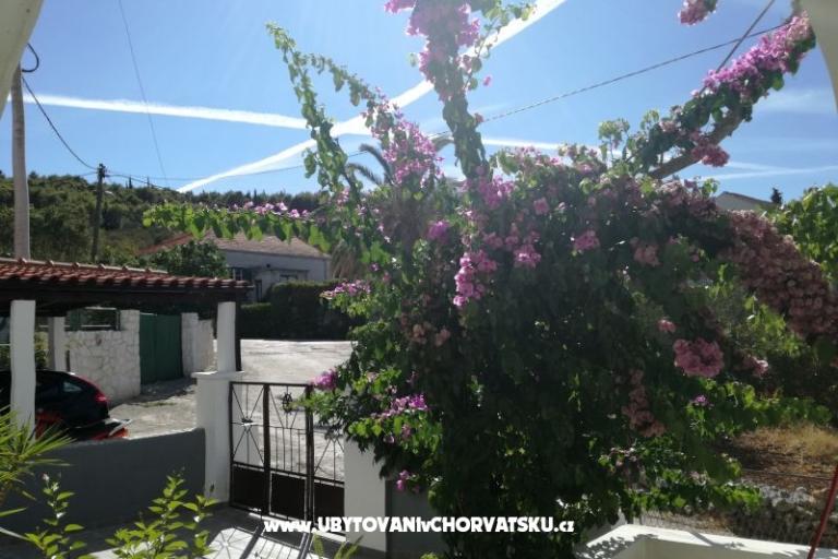 Apartma Ivica – foto 18