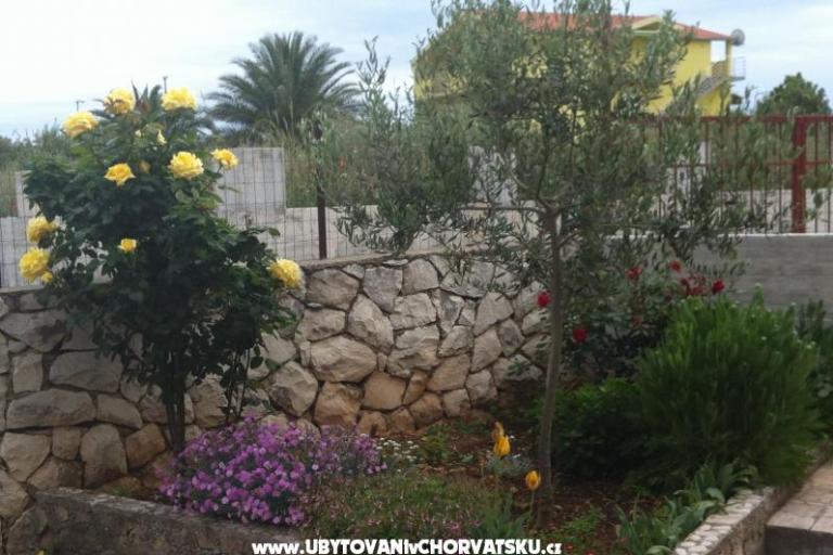 Apartma Kossi – foto 3