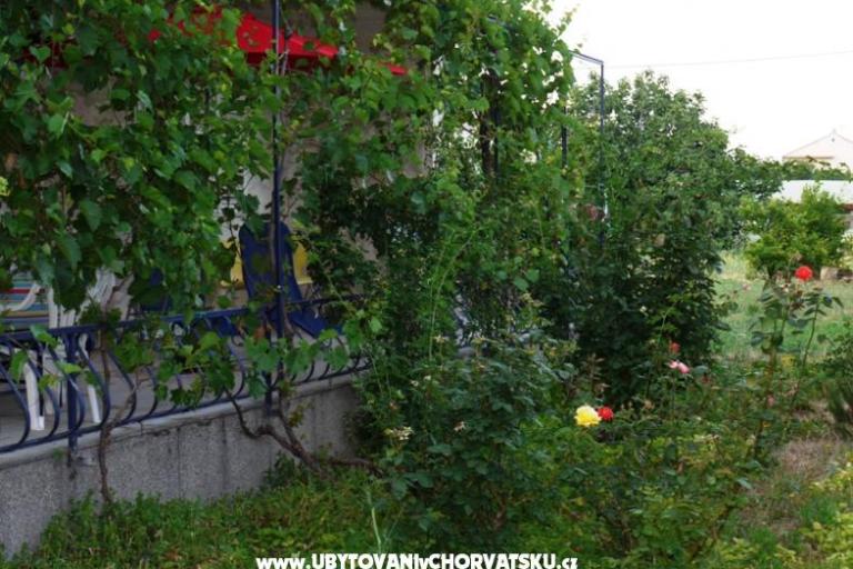 Apartma Lana – foto 6
