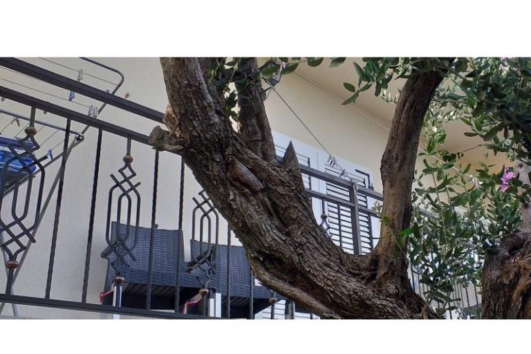 Apartma Monika – foto 17