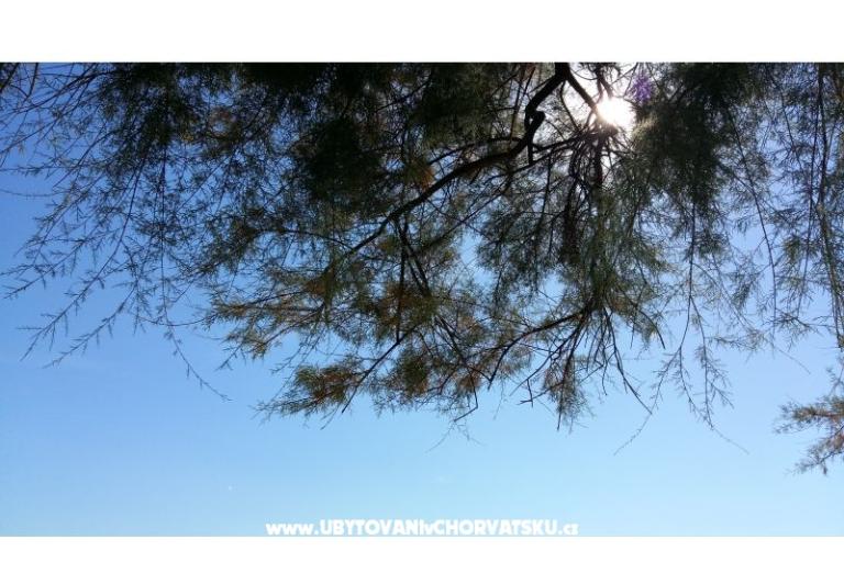 Apartma Rita – foto 8