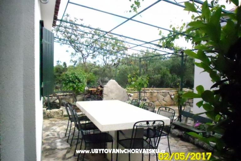 Apartma Tone – foto 6