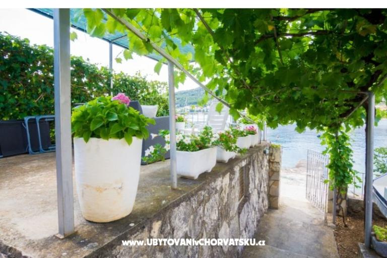 Apartma Zoranka na plaži – foto 14