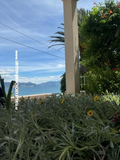 Apartmaji Adria – foto 22