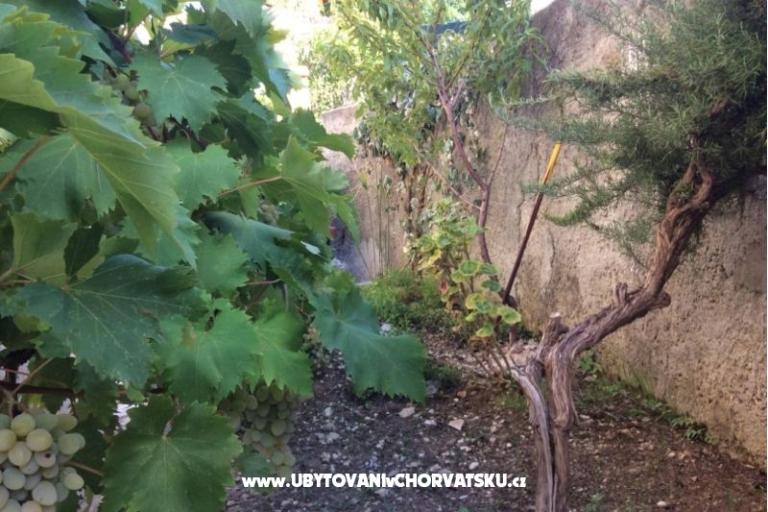 Apartmaji Adria – foto 5