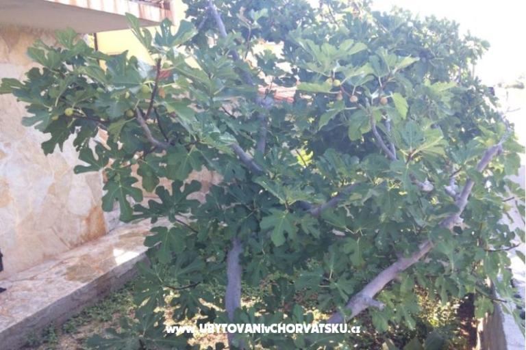 Apartmaji Adria – foto 6