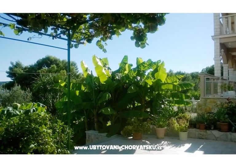 Apartmaji Anka Marin – foto 8