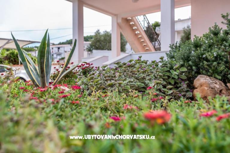 Apartmaji Antonia – foto 6