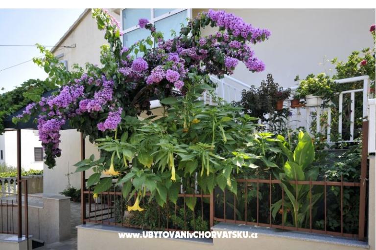 Apartmaji Borna – foto 18