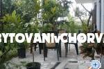 Apartmaji Gardijan – foto 8