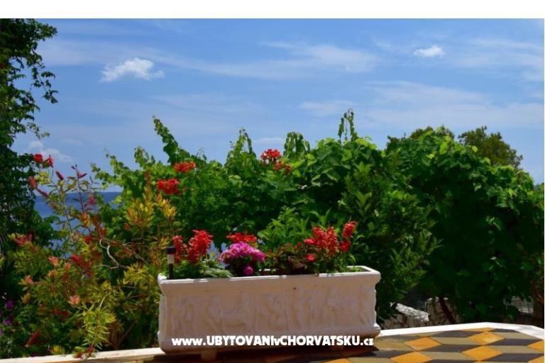 Apartmaji Ivan Okrug Gornji – foto 6