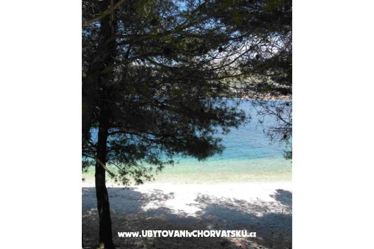 Apartmaji Jelena – foto 17