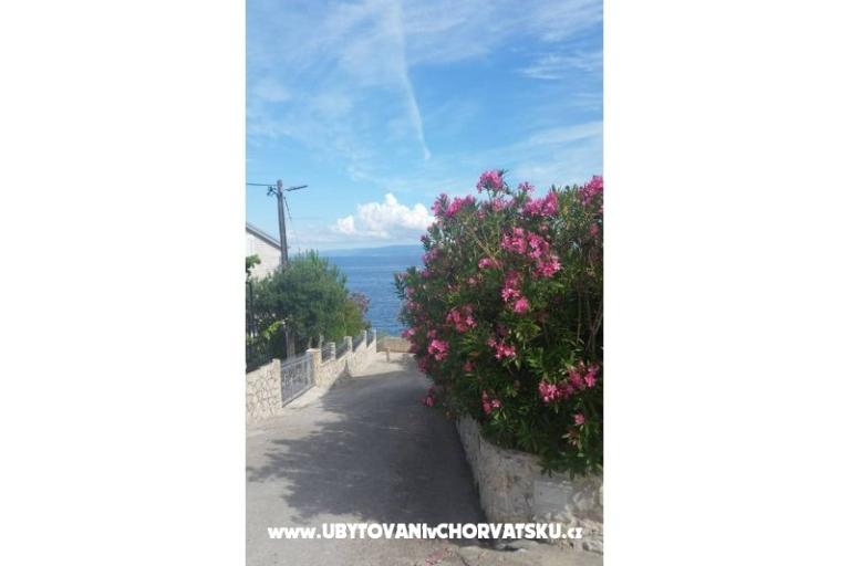 Apartmaji Malic – foto 6