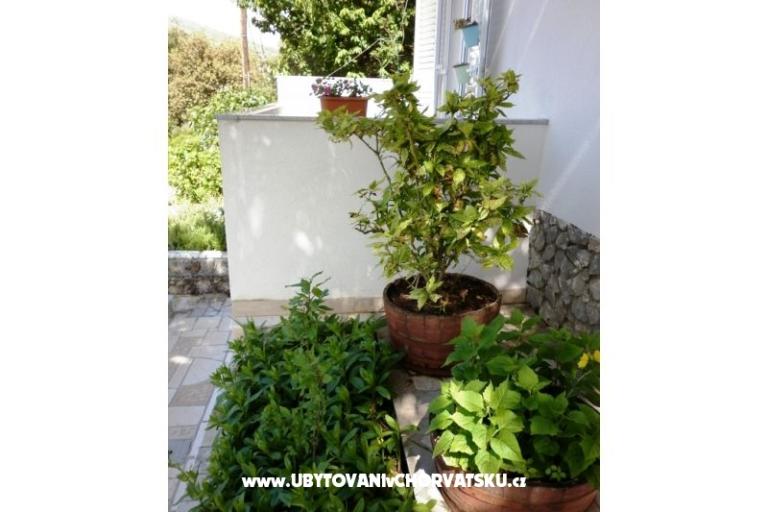 Apartmaji Mare – foto 7