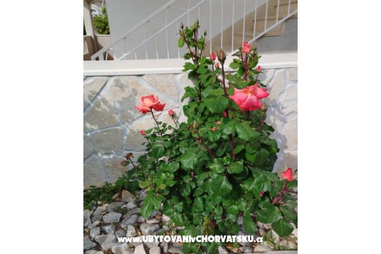 Apartmaji Marin – foto 8