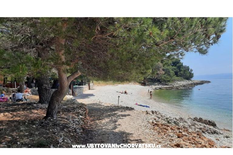 Apartmaji Tiho – foto 21