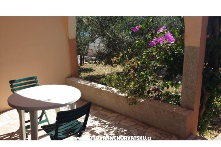 Apartmaji Zizic – foto 10
