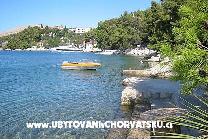Apartma Novak – foto 8