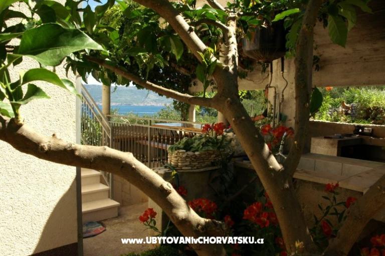 Apartmaji Ljilja – foto 9